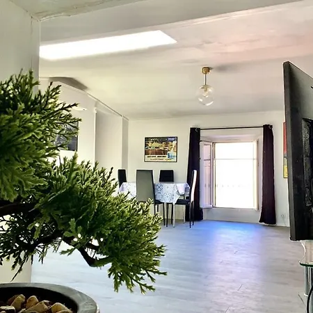 Serbes Floor Cannes